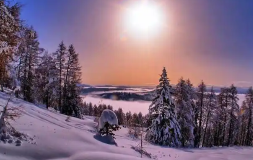 1778219915463037.png a1d87f34-14da-4a7d-b61a-530904d3d3f0.png