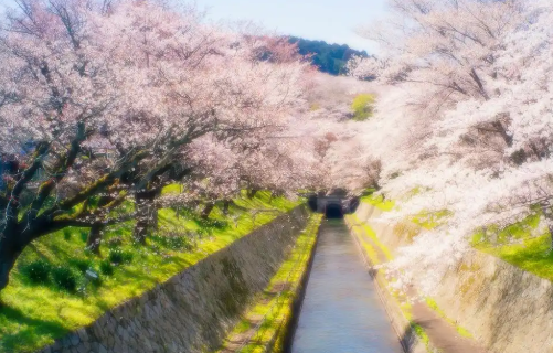 1778290194897478.png 149d1213-4aa9-48d6-83a9-ce3b7f7915a1.png
