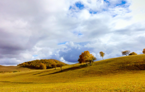 1778463198415136.png d824c69e-8398-4d74-affc-8a4da4e505e1.png