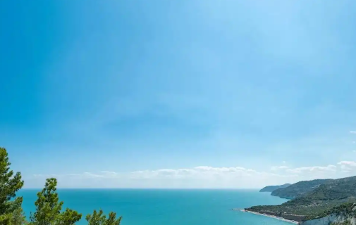 1778470084676064.png 51a9bd2b-3cae-425b-9207-fc39ed8dc659.png