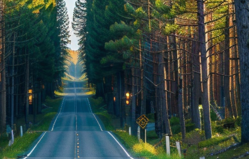 1778746305621048.png 1ac5aca6-a90d-4f1c-a402-a3cbd6003d1b.png