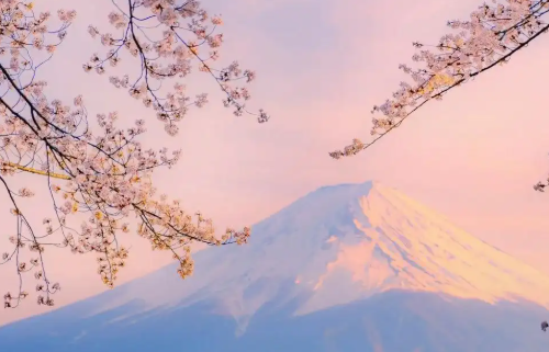1779087362651782.png 45163b7c-94e7-4a1a-8618-af4ca2f825e3.png