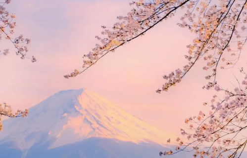 1779672072575919.png e6e9e1c6-c013-4cfa-8b01-4f7412c304cf.png