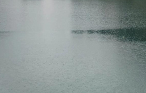 1780622521866653.png bd0565a0-6ea8-466d-9c9e-68ca80619efb.png