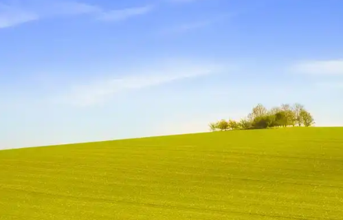 1780882580834605.png 91a8f030-87b8-4629-bb1b-6e8379edcdc9.png