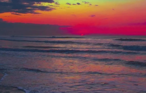 1781658856384090.png 41b43268-07a8-411f-9c07-66247440a801.png