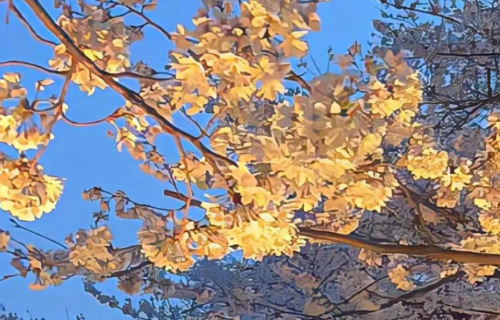 1781664940380469.png 088b388a-4602-4655-bbe2-fd7cde82c20d.png