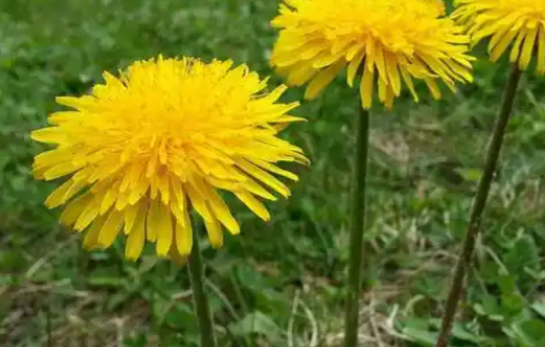 1781763194881982.png eb2f1d6d-ec2e-48b5-8c08-db6e2ce7bdee.png