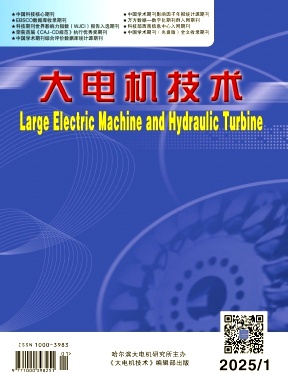 大电机技术投稿