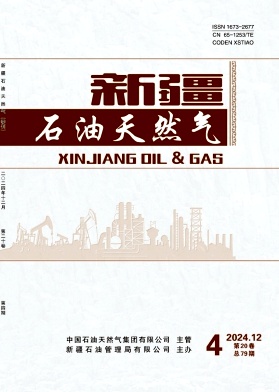 新疆石油天然气投稿